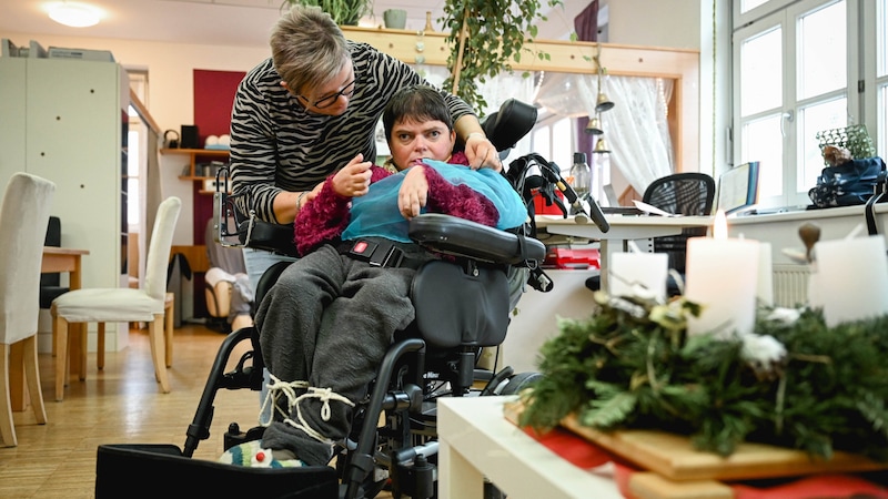 Mit auf Tüchern getropften ätherischen Ölen wird ihr Geruchssinn angeregt (Bild: Wenzel Markus/Markus Wenzel)