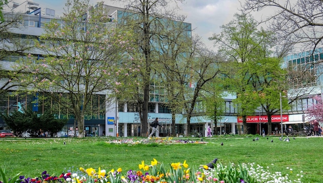 Das Schillerpark-Areal: In Sachen großangelegter Umbau ist seit langem nichts mehr zu vernehmen. (Bild: Einöder Horst)