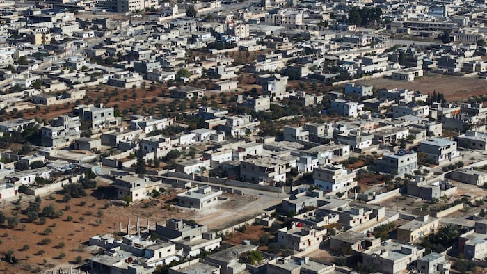 Hama