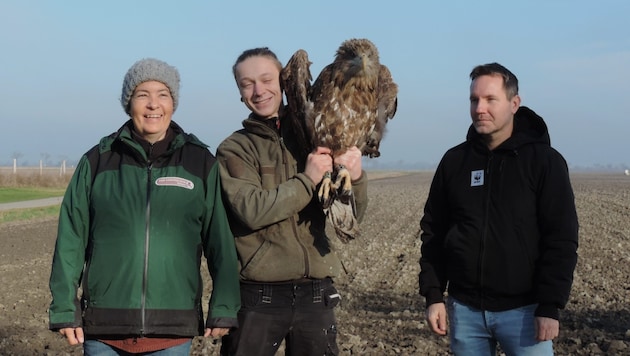 Sigrid Frey von der Greifvogelstation, Tierpfleger Manuel Zunt und WWF Artenschutzexperte Christian Pichler bei der Freilassung.  (Bild: © FOUR PAWS)