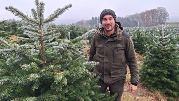 Christmas tree adventure forest boss Christopher Leuchtenmüller surrounded by his pupils. (Bild: Dworak/Wiesmeyer)