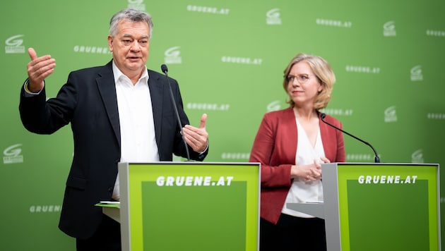 Von links: Ex-Vizekanzler Werner Kogler und Energieministerin Leonore Gewessler (Bild: APA/GEORG HOCHMUTH)