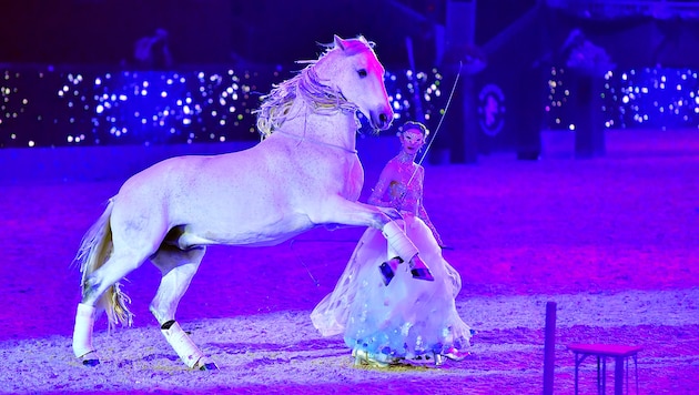 The Amadeus Horse Indoor at the Salzburg Exhibition Center is an event consisting of top-class equestrian sport, spectacular show acts and a riding and horse fair. (Bild: im|press|ions)