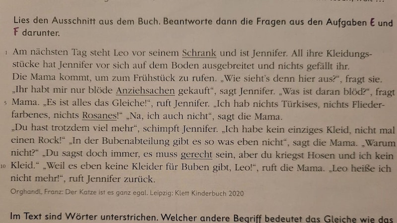 Diese Textpassage sorgt für Empörung bei den Freiheitlichen. (Bild: zVg)