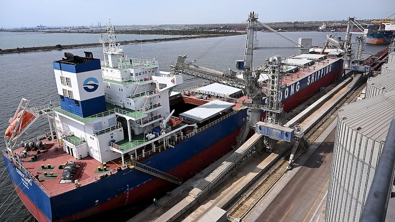 Ein mit Raps beladener Tanker im Schwarzmeerhafen Constanta (Bild: APA/AFP/Daniel MIHAILESCU)