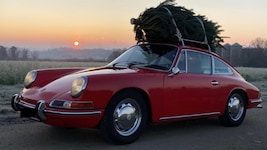 Vorbildlich: Spitze hinten, mit zwei Gurten gesichert