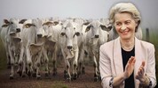 EU-Kommissionspräsidentin Ursula von der Leyen will am Freitag am Rande eines Mercosur-Gipfels ...