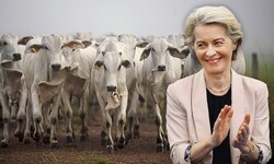 Nun ist es fix: Die Unterzeichnung des Freihandelsabkommens Mercosur wird verschoben.