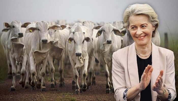 EU-Kommissionspräsidentin Ursula von der Leyen will am Freitag am Rande eines Mercosur-Gipfels ...