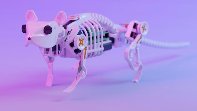 The Munich neuro-robotic mouse is a kind of precursor to SMuRo. (Bild: AP ( via APA) Austria Presse Agentur/APA/BING ET AL./SCIENCE ROBOTICS)