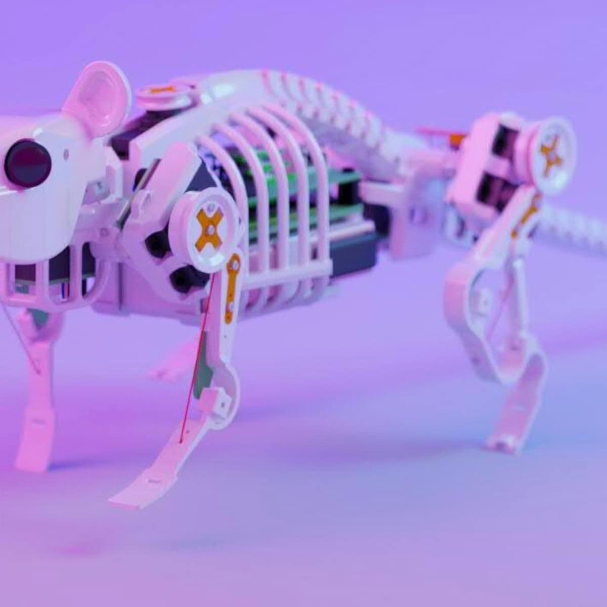It learns from the original - Innovative rat robot inspires