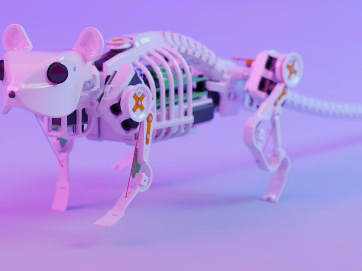 It learns from the original - Innovative rat robot inspires