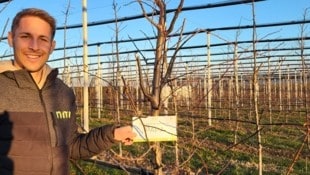 Christoph Simon mit einem Paten-Apfelbaum für „Papa“. (Bild: Familie Simon)