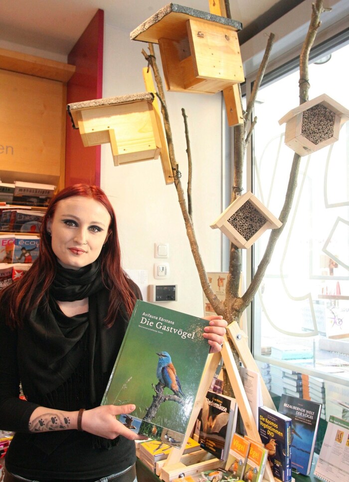 Schüler bauen eigene Nistkästen und lernen so einiges über die Vogelkunde.