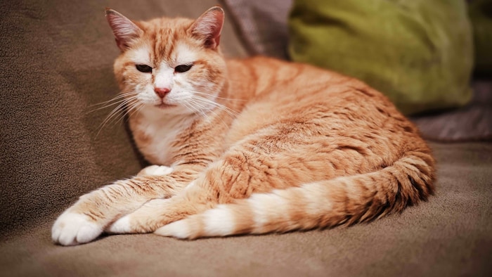 "Michi" is doing well again.