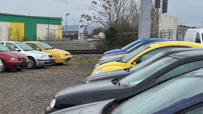 Der gelbe Megane und der gelbe Beetle warten auf neue Besitzer. Hat jemand Interesse?