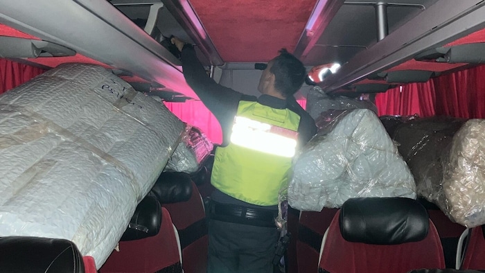 Customs officials made two finds in one coach.