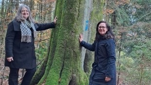 Alexandra Kolbitsch und Karin Müller-Vogel im Wald unterwegs (Bild: Bergauer Rubina)