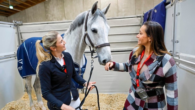 Katharina Rhomberg (li.) und Andrea Schlager in der Box mit Schimmel Colestus Cambridge. (Bild: Markus Tschepp)