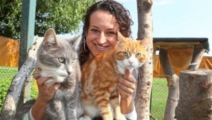 „Katzenmama“ Bettina Bernadowitsch will im Sommer mit ihren Schützlingen umziehen.  (Bild: Radspieler Jürgen/Juergen RadspielerJürgen Radspieler)