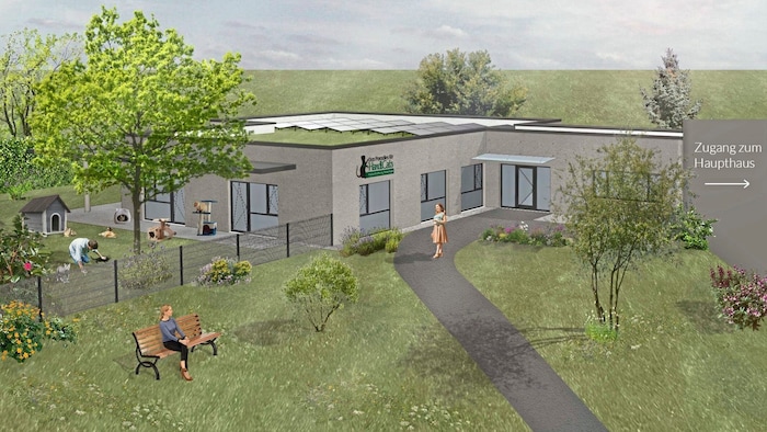 This is what the new extension for the cats will look like, the outdoor enclosure will be more ...