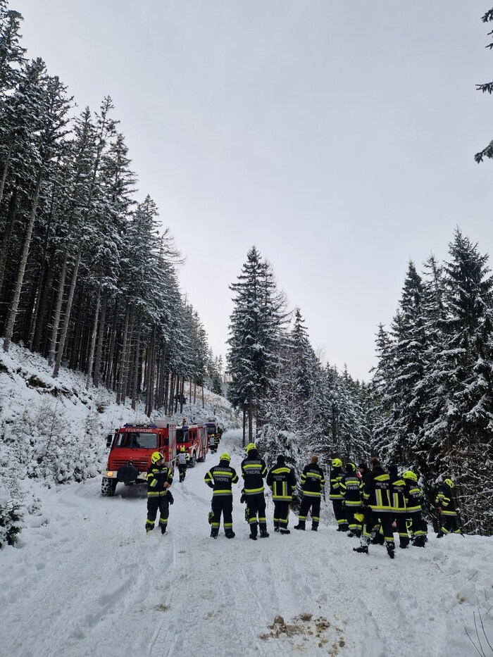 Dutzende Feuerwehrkräfte kamen dem Forstarbeiter zu Hilfe.