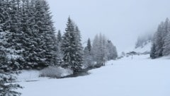 Weiß präsentierte sich der 2. Adventsonntag in weiten Teilen Tirols. (Bild: Birbaumer Christof)