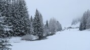 Weiß präsentierte sich der 2. Adventsonntag in weiten Teilen Tirols.