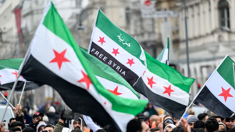 Syrian flags with the inscription "Free Syria" were waved at the rally in Vienna's city center. (Bild: APA/MAX SLOVENCIK)