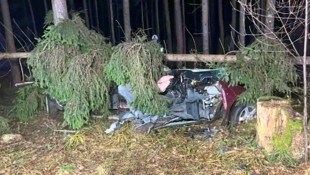 Die Feuerwehr Burgau-Burgauberg rückte aus