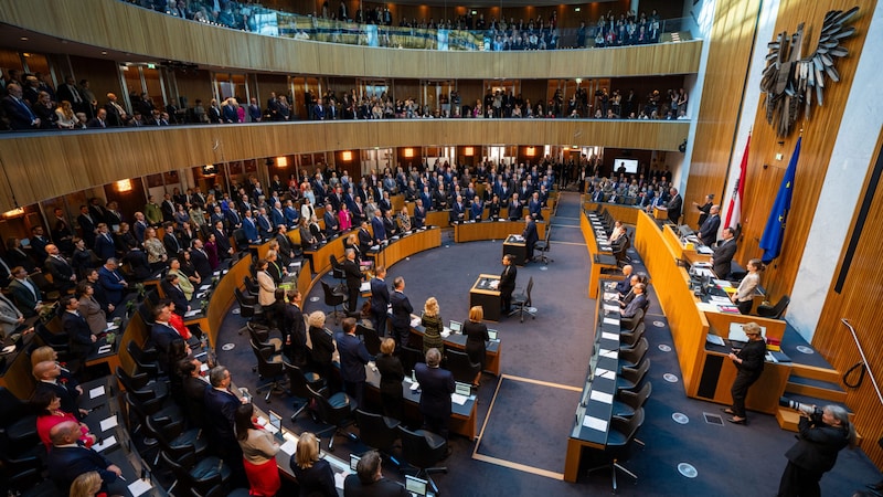 The government presents itself to the National Council on Friday (Bild: APA/GEORG HOCHMUTH)