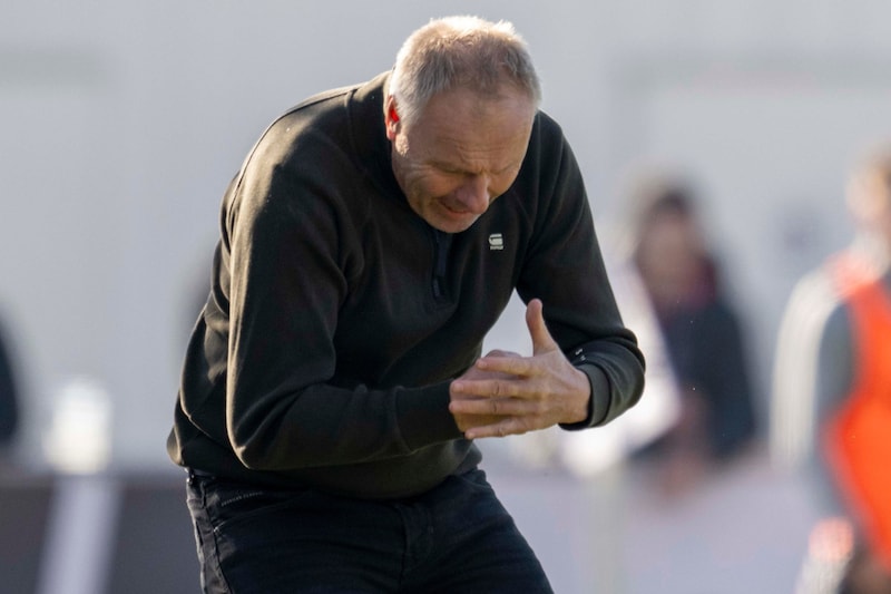 Silberberger gave his all on the touchline in the first half of the season. (Bild: GEPA pictures)