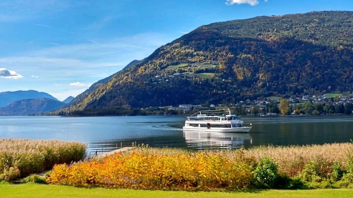 Robbie liebt Kärnten und die Glocks – nun soll er an den Ossiacher See ziehen.