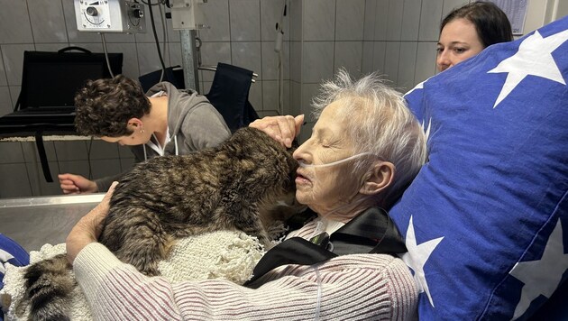 Cat and woman were visibly happy to see each other again