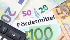 82 Millionen Euro schüttet das Land heuer an Bedarfszuweisungen und Sonderprojektmitteln an die Gemeinden aus. (Bild: stock.adobe.com/tech_studio - stock.adobe.com)