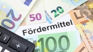 82 Millionen Euro schüttet das Land heuer an Bedarfszuweisungen und Sonderprojektmitteln an die Gemeinden aus. (Bild: stock.adobe.com/tech_studio - stock.adobe.com)