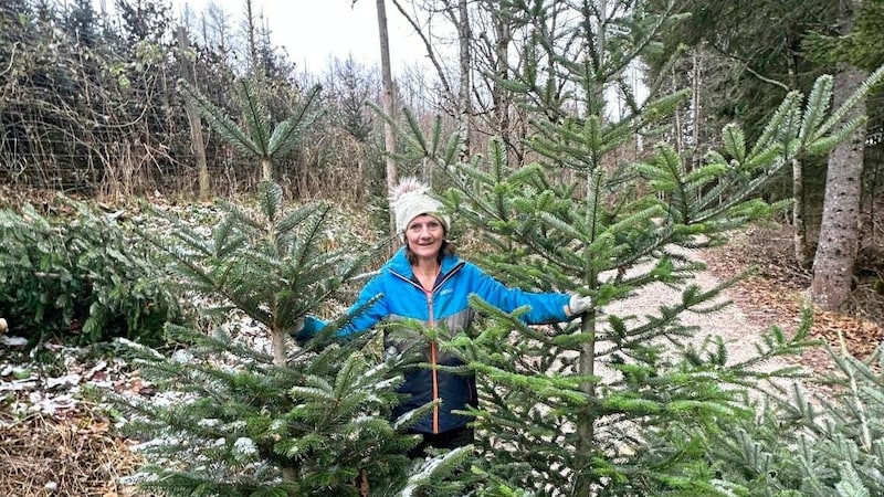 Mit dem Verkauf von Christbäumen begonnen hat Regina Smrtnik. (Bild: Smrtnik)