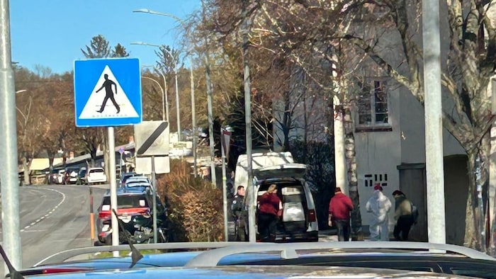 Die Tiere wurden behördlich beschlagnahmt und entsprechend versorgt. 