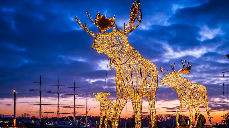 Magical atmosphere at sunset. The Travemünde moose, also known as the "Trelche", look out over the Baltic Sea. (Bild: LTM)