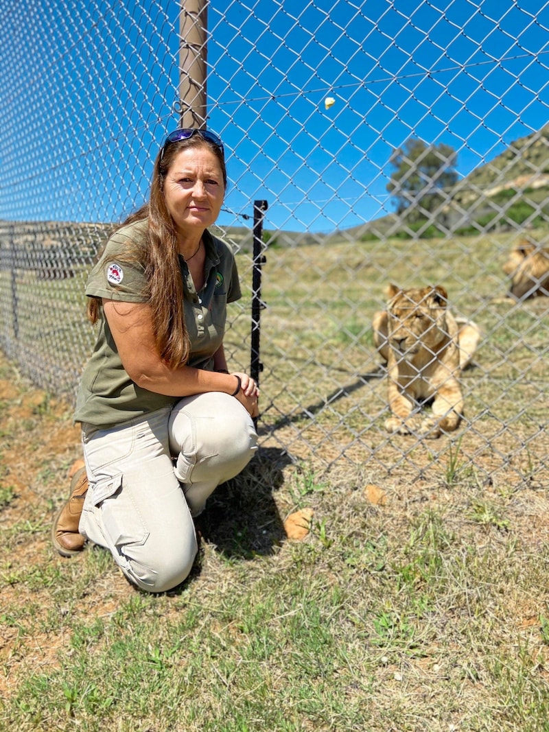 It was with a heavy heart that Hildegard Pirker had to say goodbye to her Safaripark protégés. (Bild: Four Paws/Yvonne Venter)