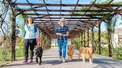 Angelika Mandler-Saul mit ihrem Hund „Coffee“ und Ulrike Miestinger mit „Pepa“ und „Penny“ geben ...