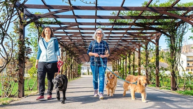 Angelika Mandler-Saul mit ihrem Hund „Coffee“ und Ulrike Miestinger mit „Pepa“ und „Penny“ geben Ratschläge für entspannte Ausflüge und Urlaube mit Vierbeinern. (Bild: Kevin Zumbo)