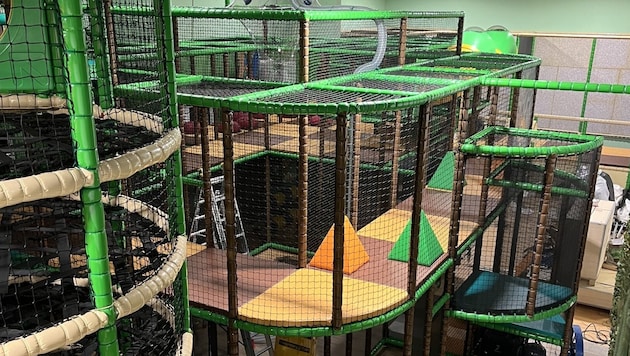 Der Indoor-Spielplatz bietet in St. Pölten eine abwechslungsreiche Abenteuerwelt. (Bild: Kidsworld St. Pölten)