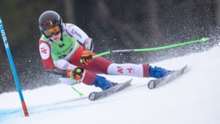 Nadine Fest startet ab Freitag in St. Moritz im Europacup. (Bild: GEPA pictures)