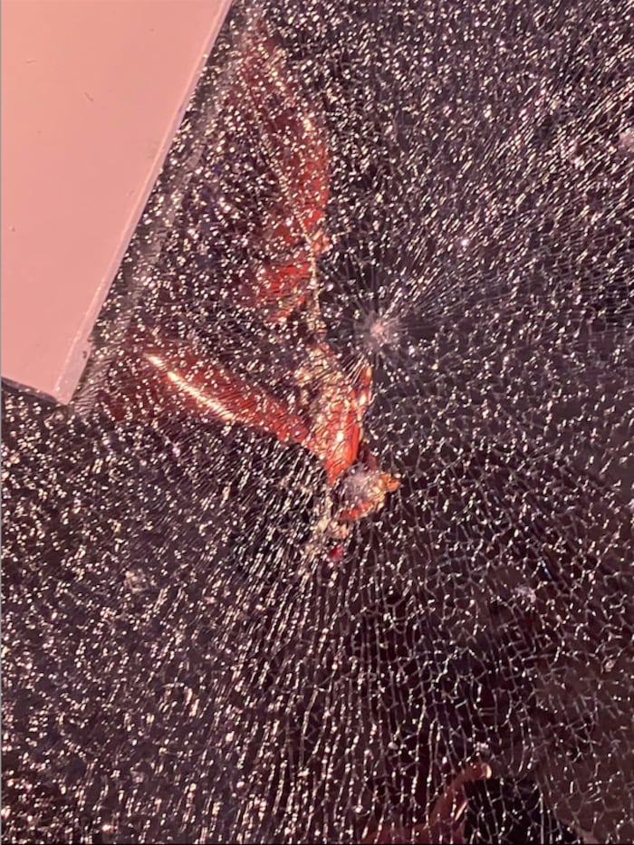 Detail aus der zerschlagenen Glastür