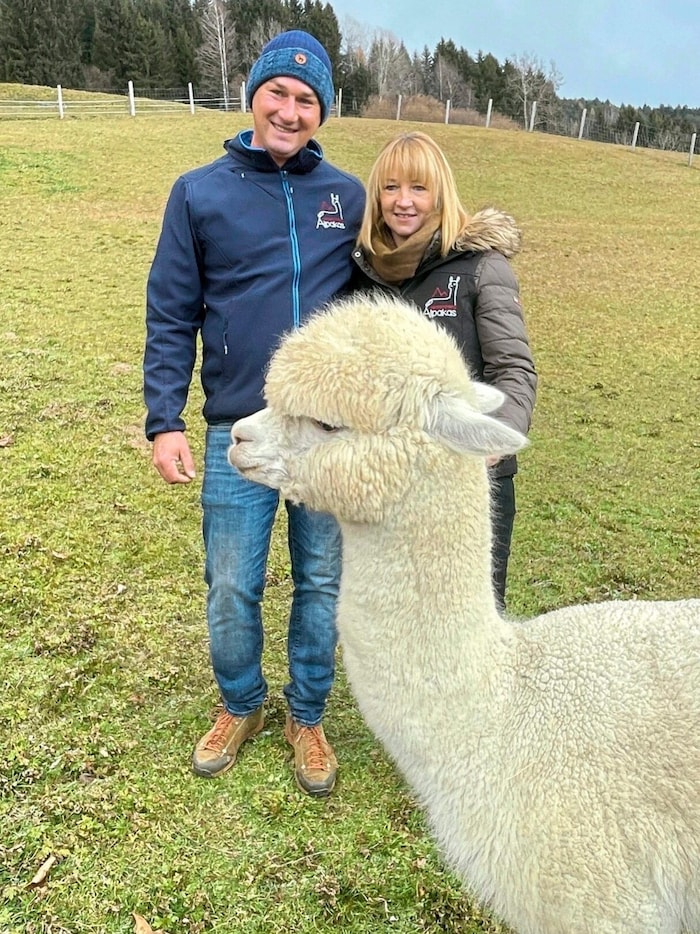 Auf ihrem Bergbauernhof züchten Anita und Christian Stauder kuschelige Alpakas.