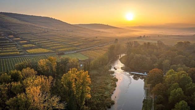 The Kampwald is to become the third national park in Lower Austria. (Bild: Molnar Attila/Attila Molnar)