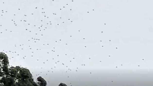 The drones were just about to take up a certain formation when they suddenly fell from the sky. (Bild: Screenshot kameraOne)