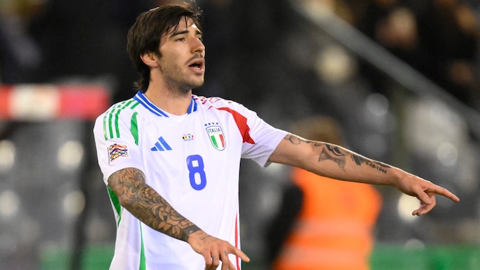 Mit Sandro Tonali gelang vor wenigen Jahren noch der Aufstieg in die Serie A.