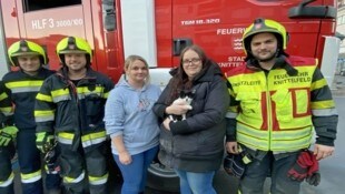 Der schwarz-weiße Tiger konnte schließlich gerettet werden.